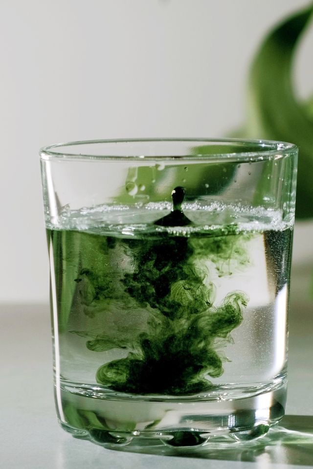 Liquid Green: Should You Be Adding Chlorophyll to Your Water?