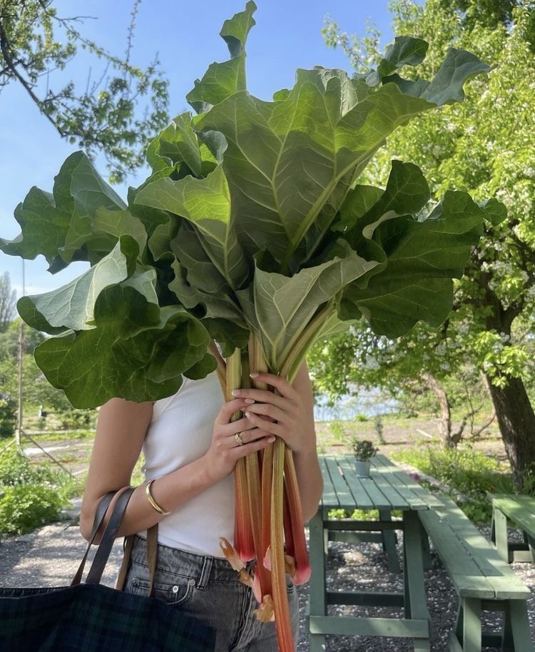 Rhubarb’s Revival: This Spring’s IT Superfood
