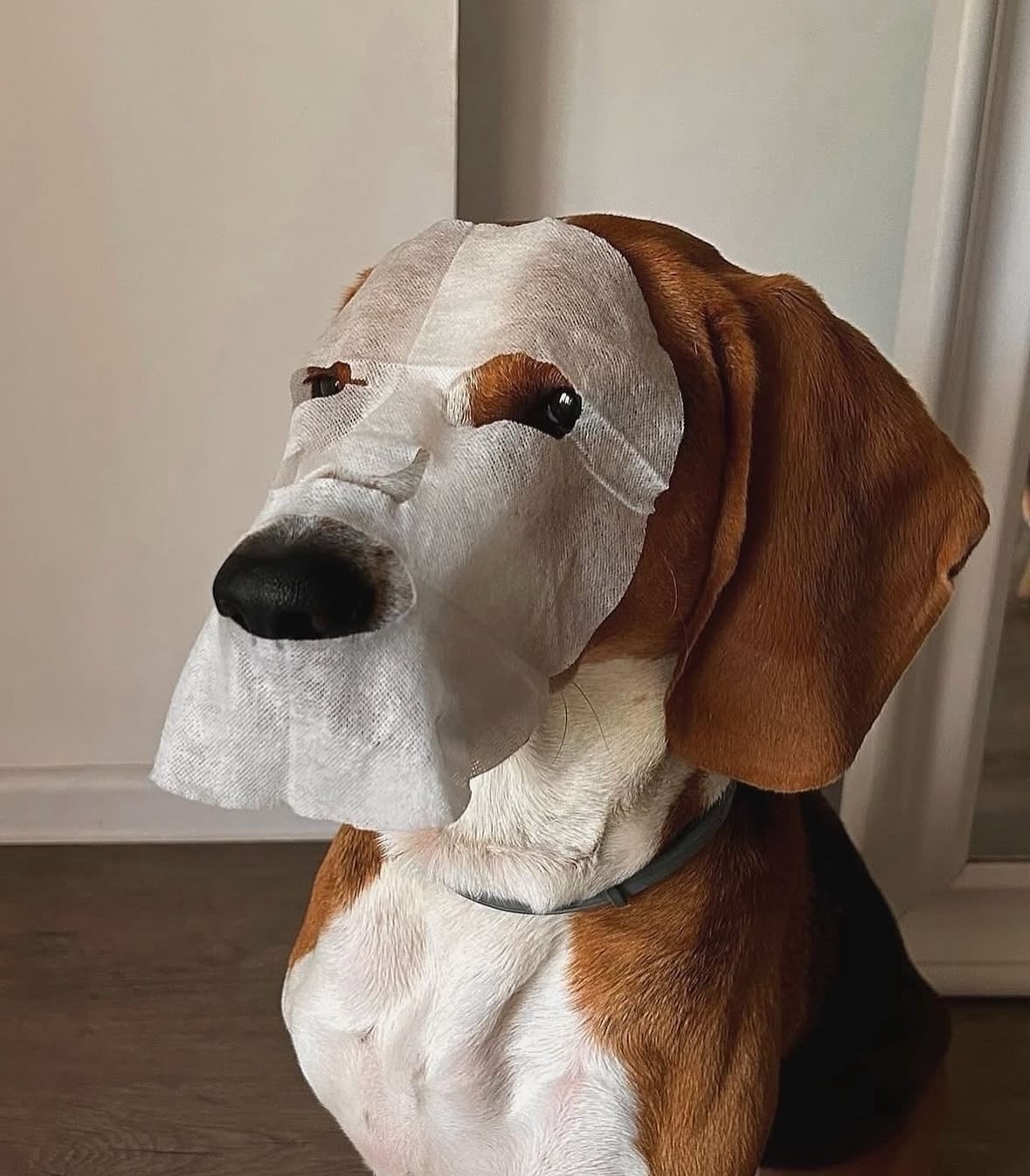 Your Skin’s Best Day, Every Day